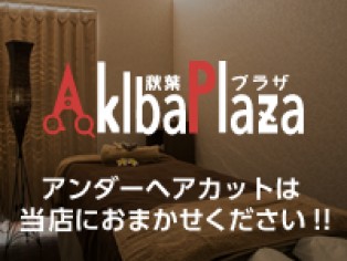 Akiba Plaza