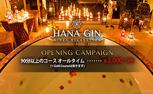 HANA GIN〜華銀〜